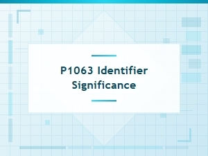 P1063 Identifier Significance in Code